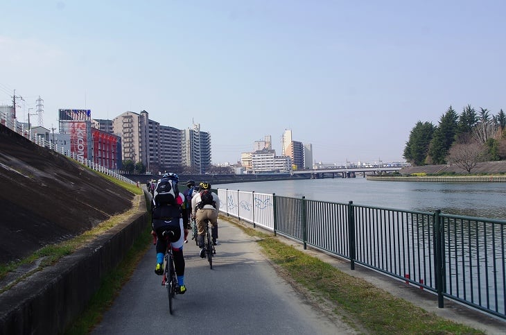 走りやすいなにわ自転車道は渡り鳥が見れることも