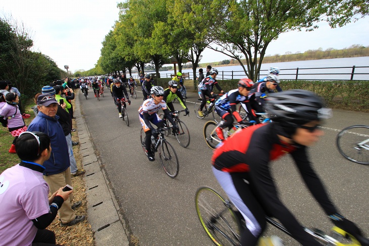 彩湖沿いのコースへと走りだす参加者たち