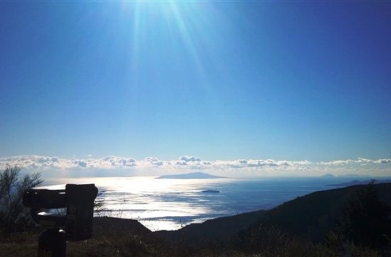 茫漠とした太平洋が眼下に広がる