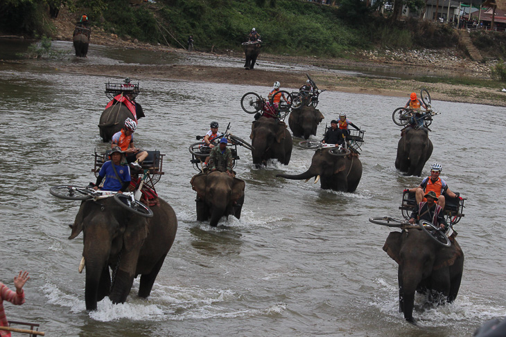 象に乗って川を渡るのが恒例だ