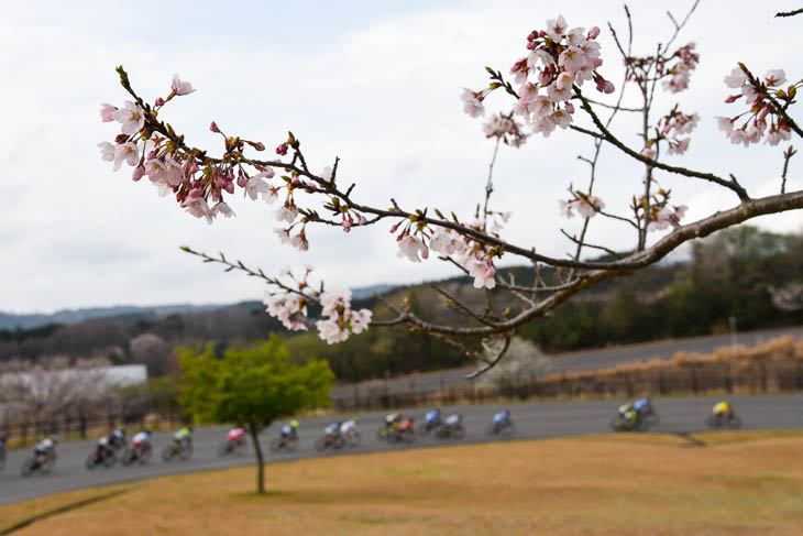 所々に桜が咲く日本サイクルスポーツセンター5㎞サーキット