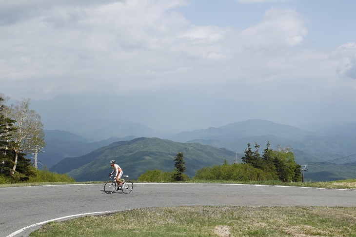 頂上に近づけば、南アルプスの山容を遠くに望むこともできる