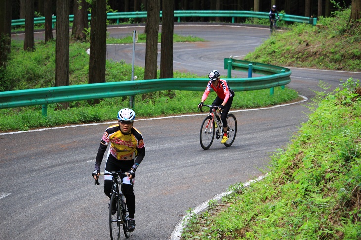 ジャパンカップのコースを満喫できる100kmコース