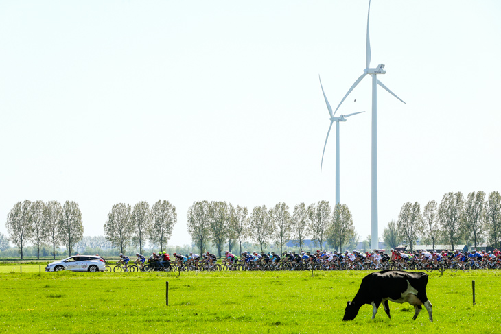 風力発電と乳牛とプロトン
