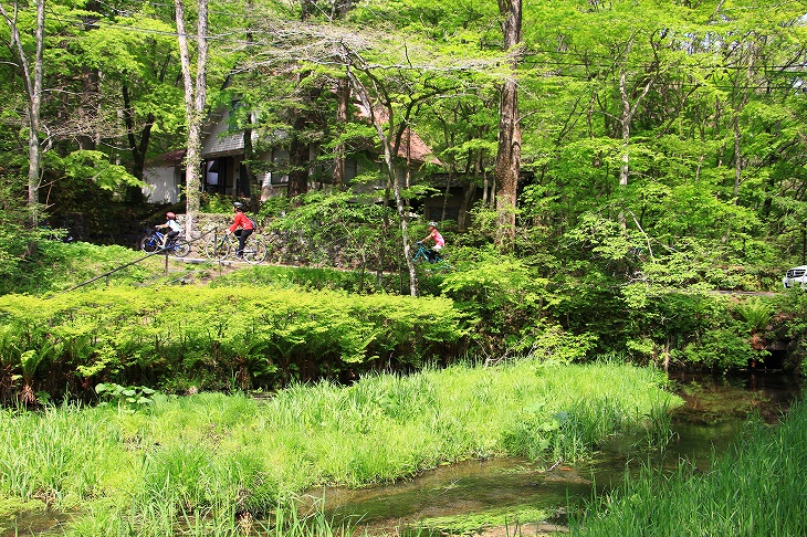 雲場池のよこを掠めるように走っていく