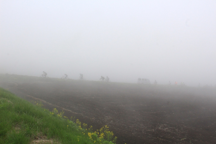 わずか数10m先も霧の中。幻想的な雰囲気に包まれている