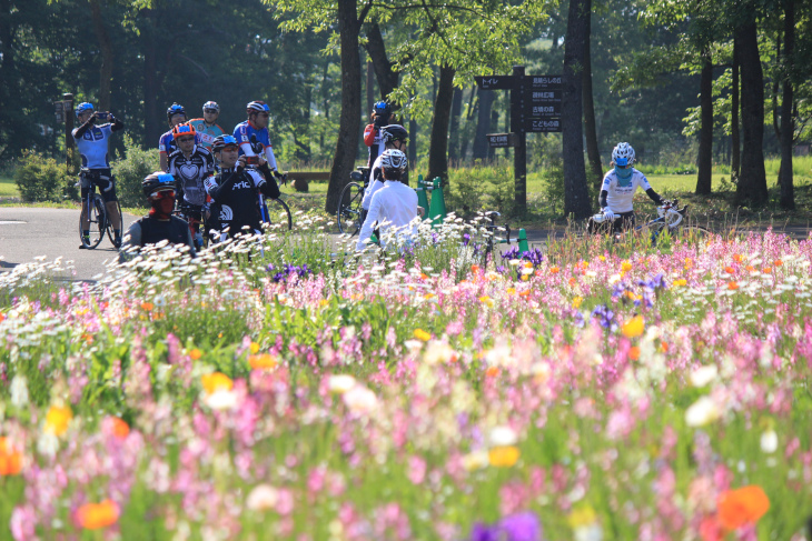 思わず写真に収めたくなってしまう色とりどりの花々