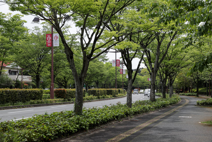 クリテリウムはパークロードを使う