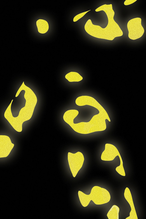 STICKY LEOPARD REFLECTORS(イエロー)の反射例