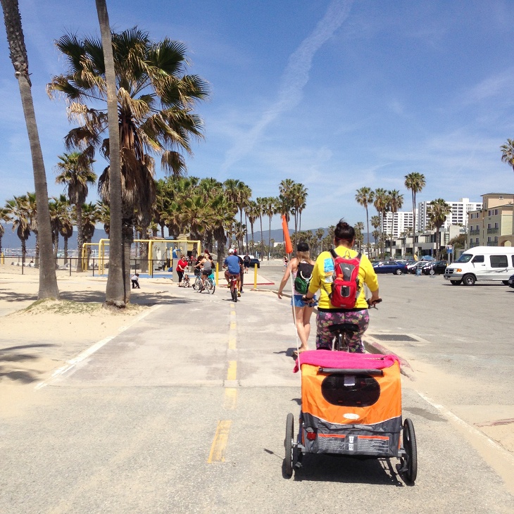 砂浜沿いに作られた自転車道「Venice Beach Bike Path」