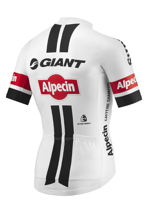 ジャイアント 2016 GIANT-ALPECIN SPECIAL EDITION TEAM SS JERSEY（背面）