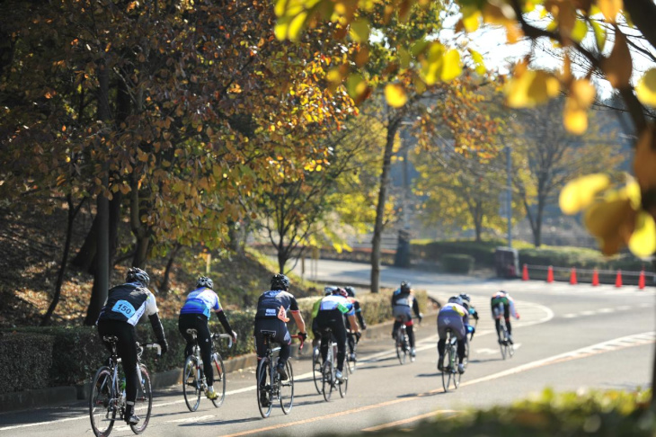 紅葉の季節に行うレースはまるで「落ち葉のクラシック」