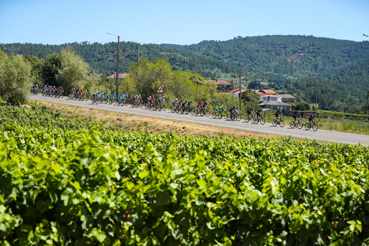 ワインのブドウ畑が広がるガリシア州を進む
