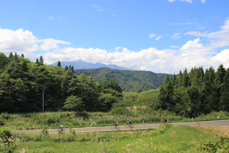 人の気配があまりない、細々とした林道を走る