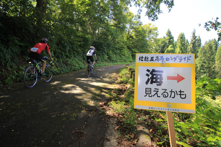 沿道には、ビュースポットを知らせてくれる看板も