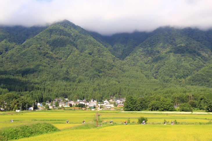 5回目を迎えた北アルプス山麓グランフォンド