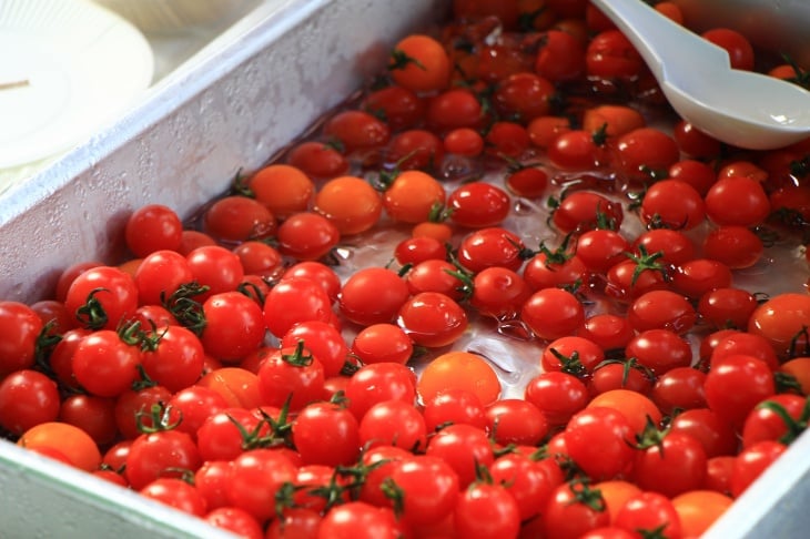 色鮮やかなプチトマトが並ぶ