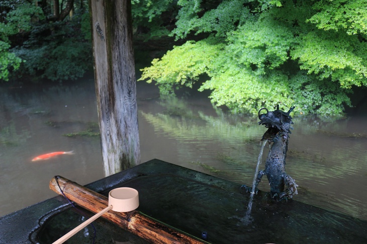 ほんとうに神様がいそうな感じの神秘的な手水舎