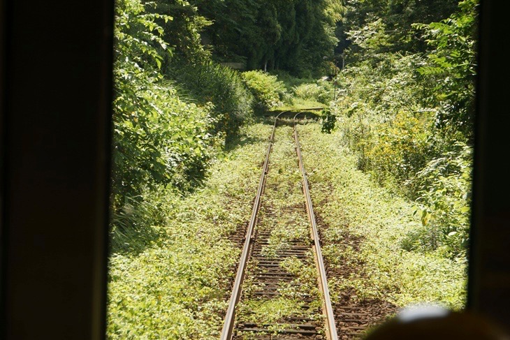 「森と水とロマンの鉄道」の名の通り、緑が美しい磐越西線