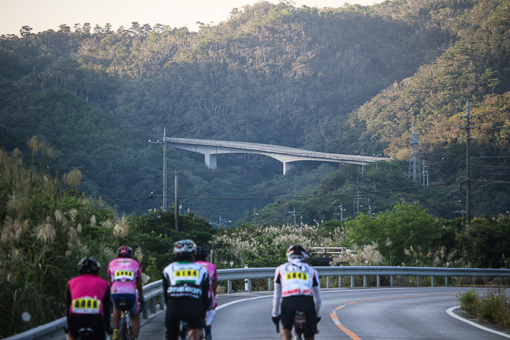 行く手に見えるのはレースでも最後の勝負どころになる上り坂