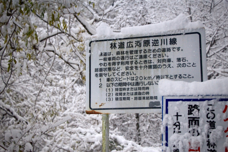 深い雪に包まれた広河原逆川林道