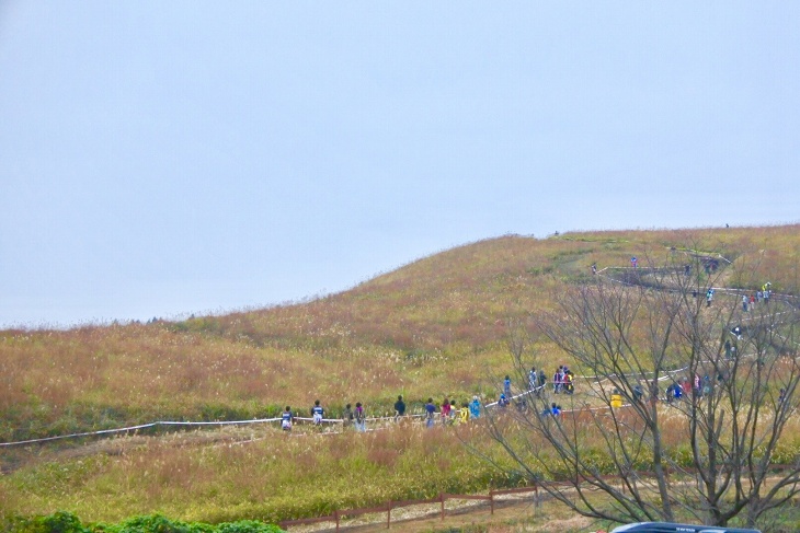吉無田高原のコースは「丸見え」なのが特徴。コース脇からは応援の声が飛ぶ