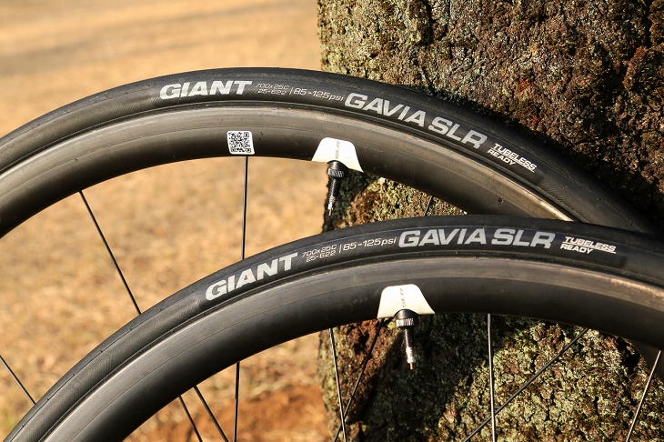 giant gavia slr tubeless