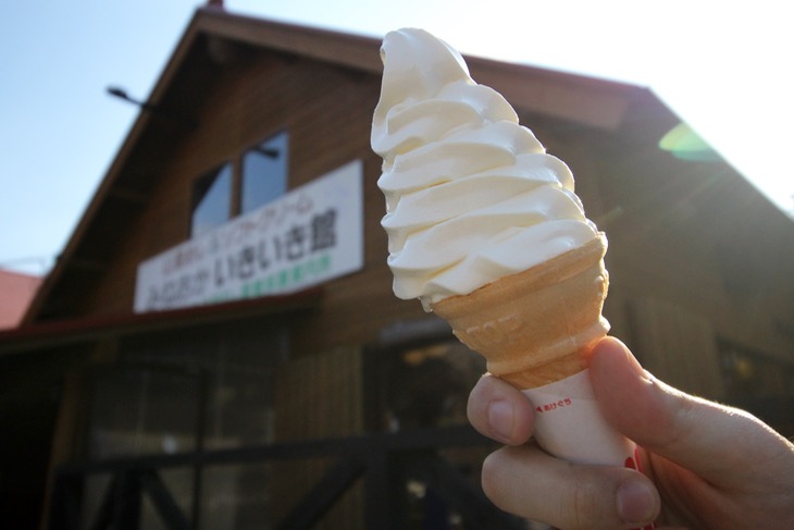 ゼブー種の牛乳で作ったソフトクリームは濃厚かつさっぱりな後味