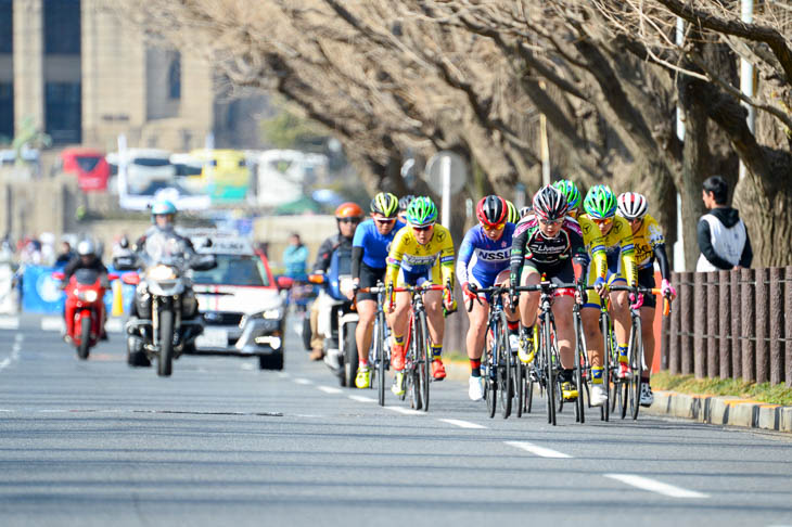 イチョウ並木道を行く女子レースの集団