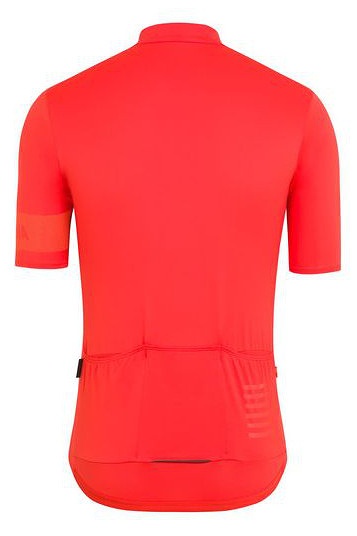 Rapha Pro Team Lightweight Jersey背面(オレンジ)