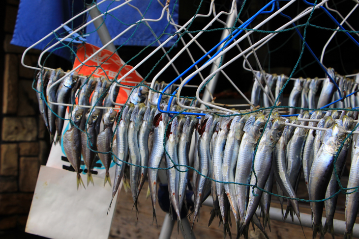 漁港が近くにあるだけに魚屋の軒先では天日干しが行われていたりする