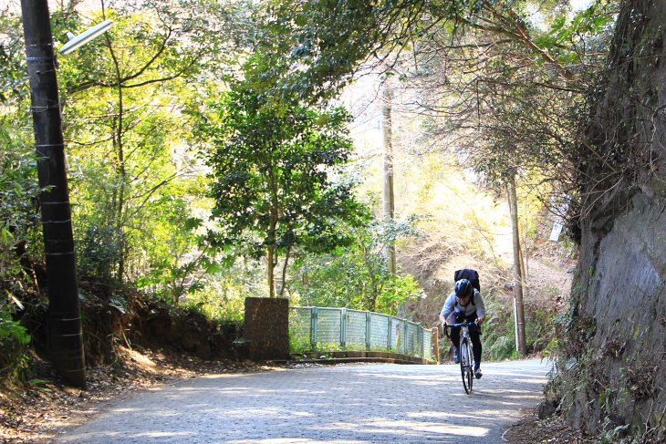 市街地を離れ山に入ると自然豊かで、気持ちよくサイクリングできる