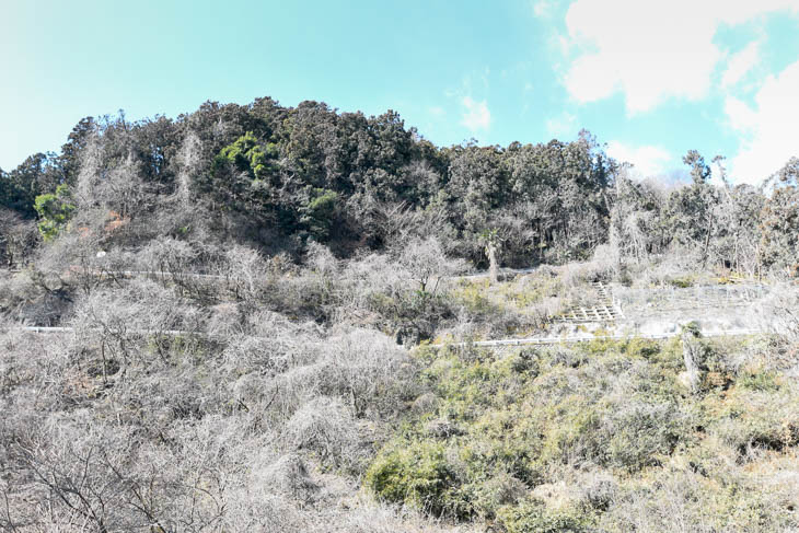 84km付近の2つめのKOMはつづら折れの登り