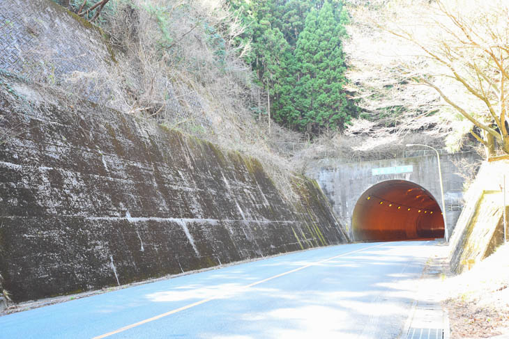 ゴールの足利市への入口となるトンネル