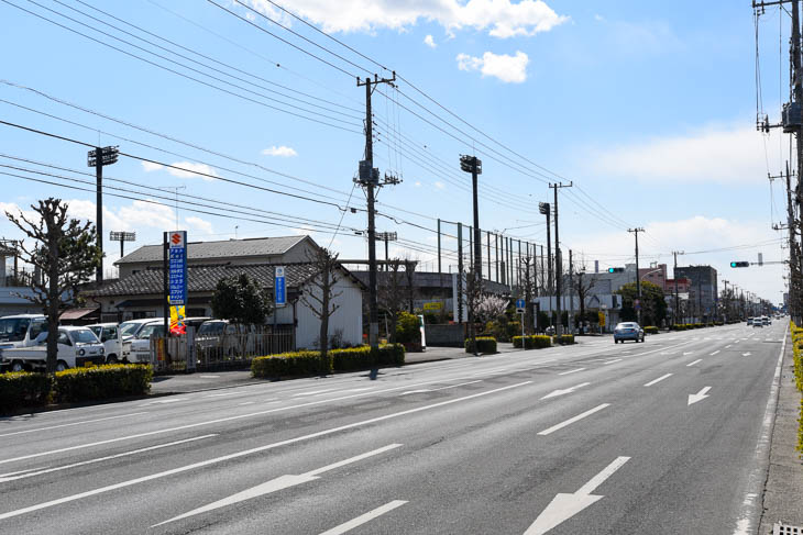 ゴールの足利市総合運動公園前の道路。この先を左折してゴール