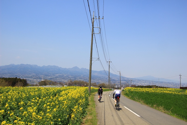 菜の花が咲き乱れる鼻高展望花の丘は私が練習したくない時に夕方4時から走る定番コースだ