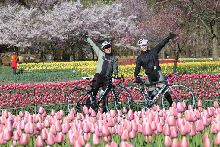 穂高エイドにはカラフルなチューリップ畑が待っている　桜だけでない華やかな春先の信州を楽しめる