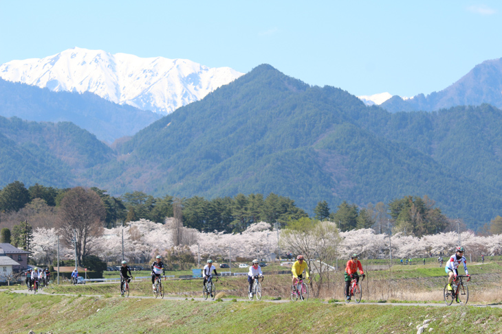 松本が近づくと桜はほぼ満開の状態に