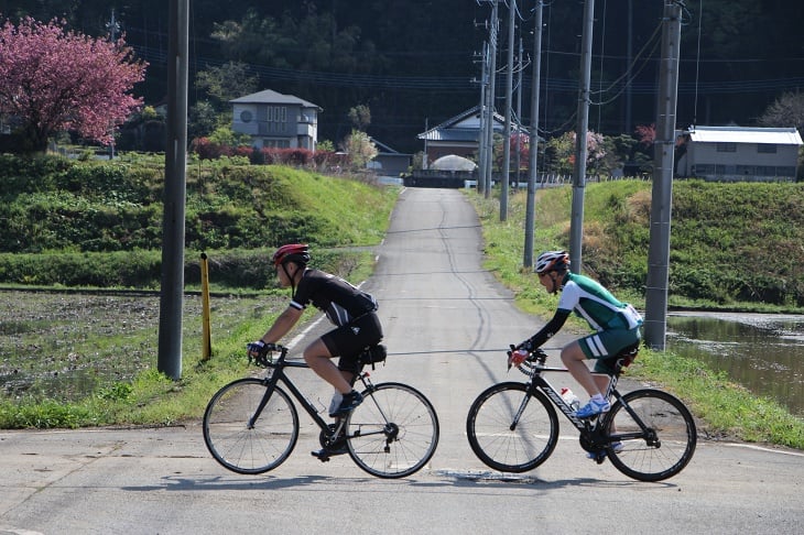 田舎道には信号もない