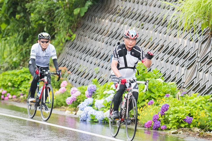 美しいアジサイの横を走り抜ける