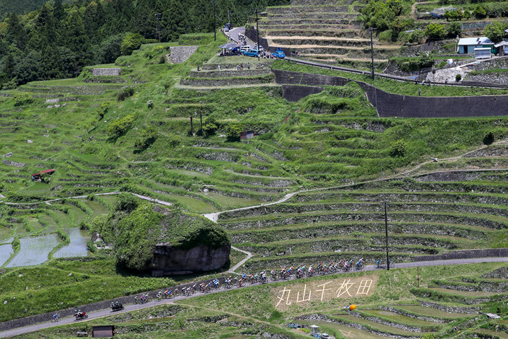 ツール・ド・熊野のハイライト・丸山千枚田を上るメイン集団