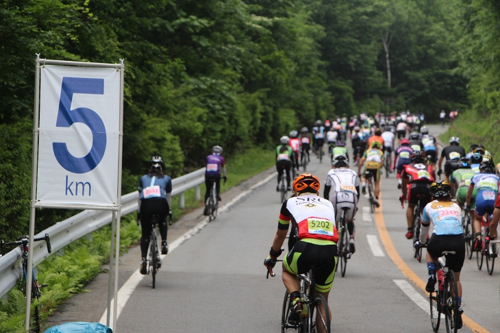 5kmごとには見やすい距離看板が設置されている。