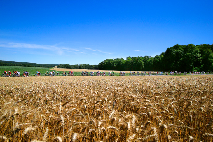 麦畑の広がる暑い平野を走る