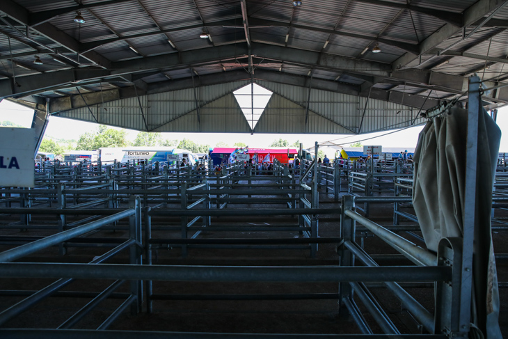 牛の売買が行われる施設の横がチームバス駐車場
