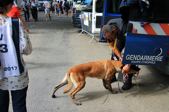 クルマに乗ってやってくる警察犬