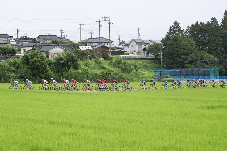 コシヒカリなど米の産地でもある宮田村