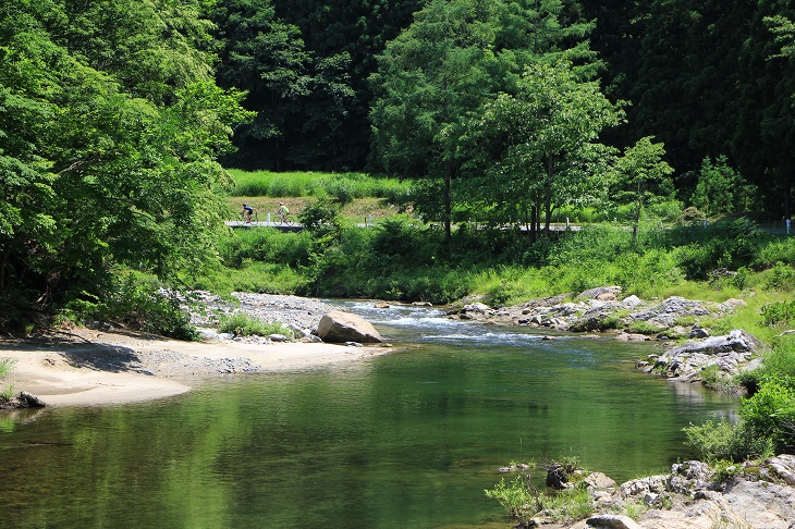 再び川沿いをさかのぼっていきます