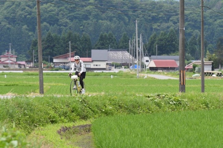 米どころ秋田を実感する田園地帯