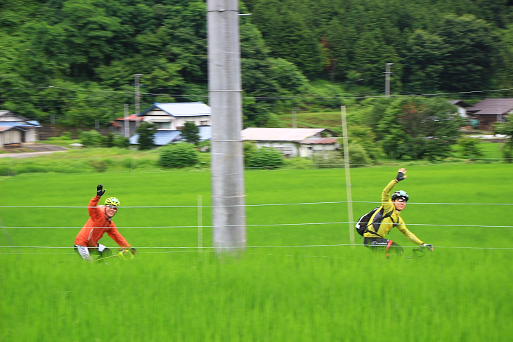 青々とした田んぼの中の道を行く