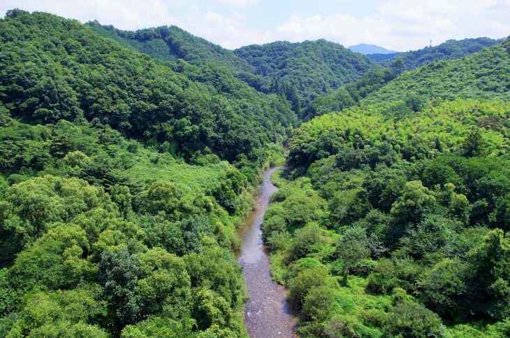 川のように見えるが来島湖という湖らしい。丘と丘をつなぐように橋がかけられていた